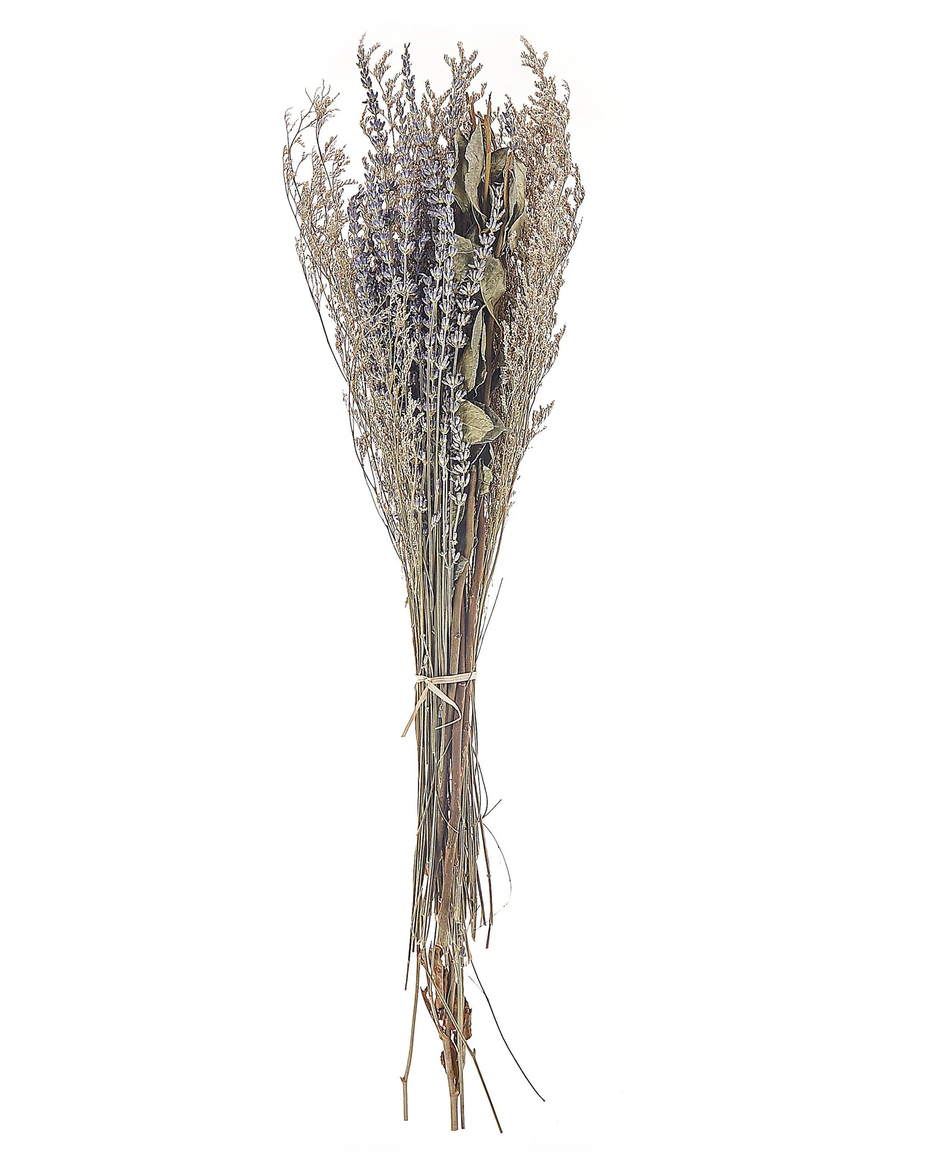 Mazzo di Fiori Secchi NAWARRA 70 cm Naturale