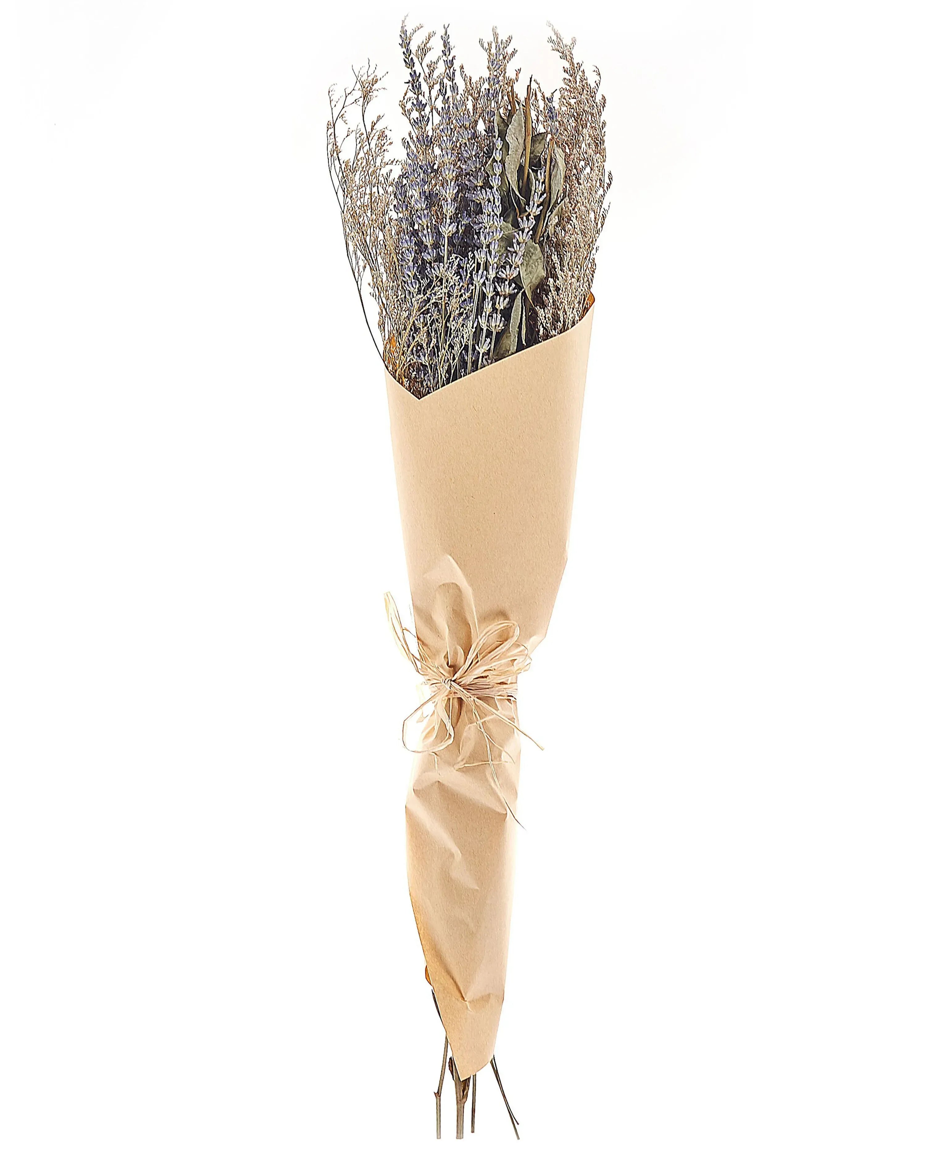 Bouquet de fleurs séchées 70 cm Naturel