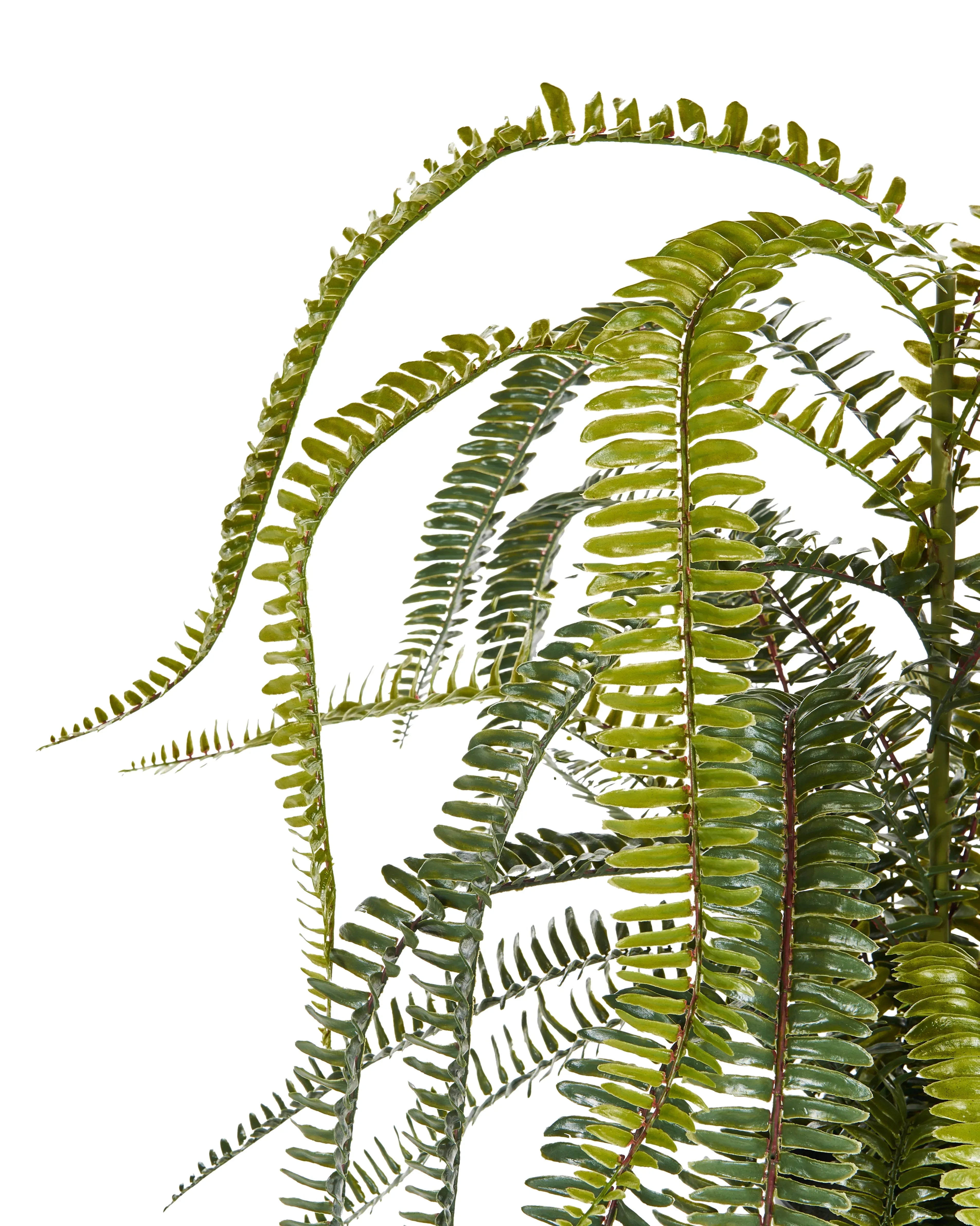 Plante artificielle FERN LEAF PLANT 105 cm Verte