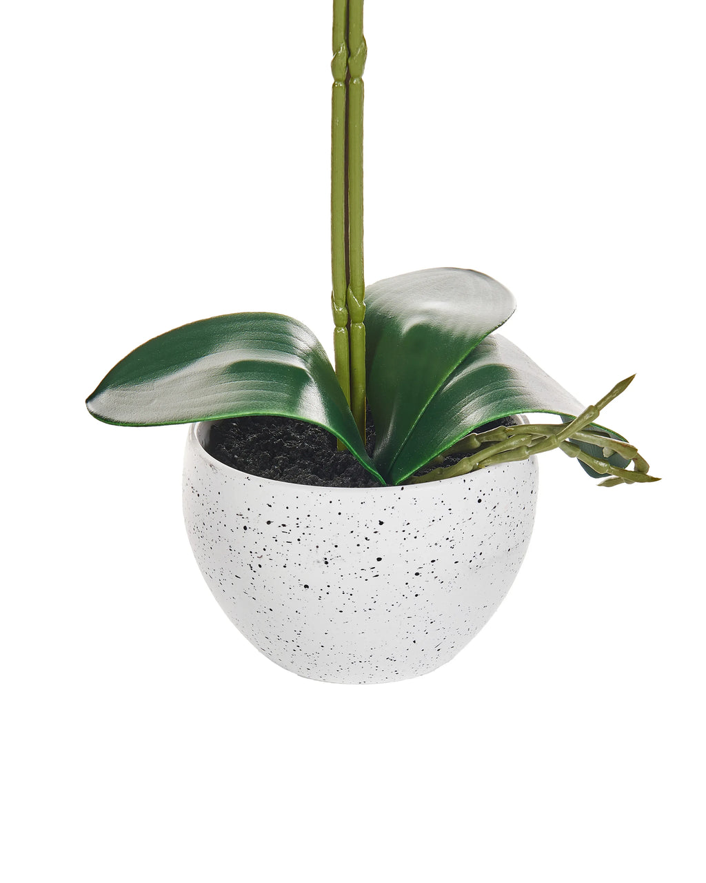 Plante artificielle ORCHIDÉE 42 cm Blanc