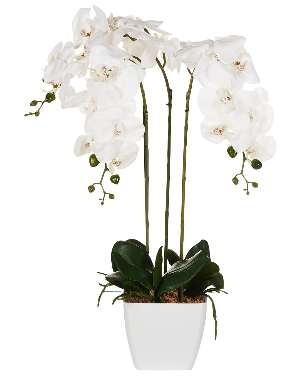 Pianta artificiale ORCHID 59 cm Bianco