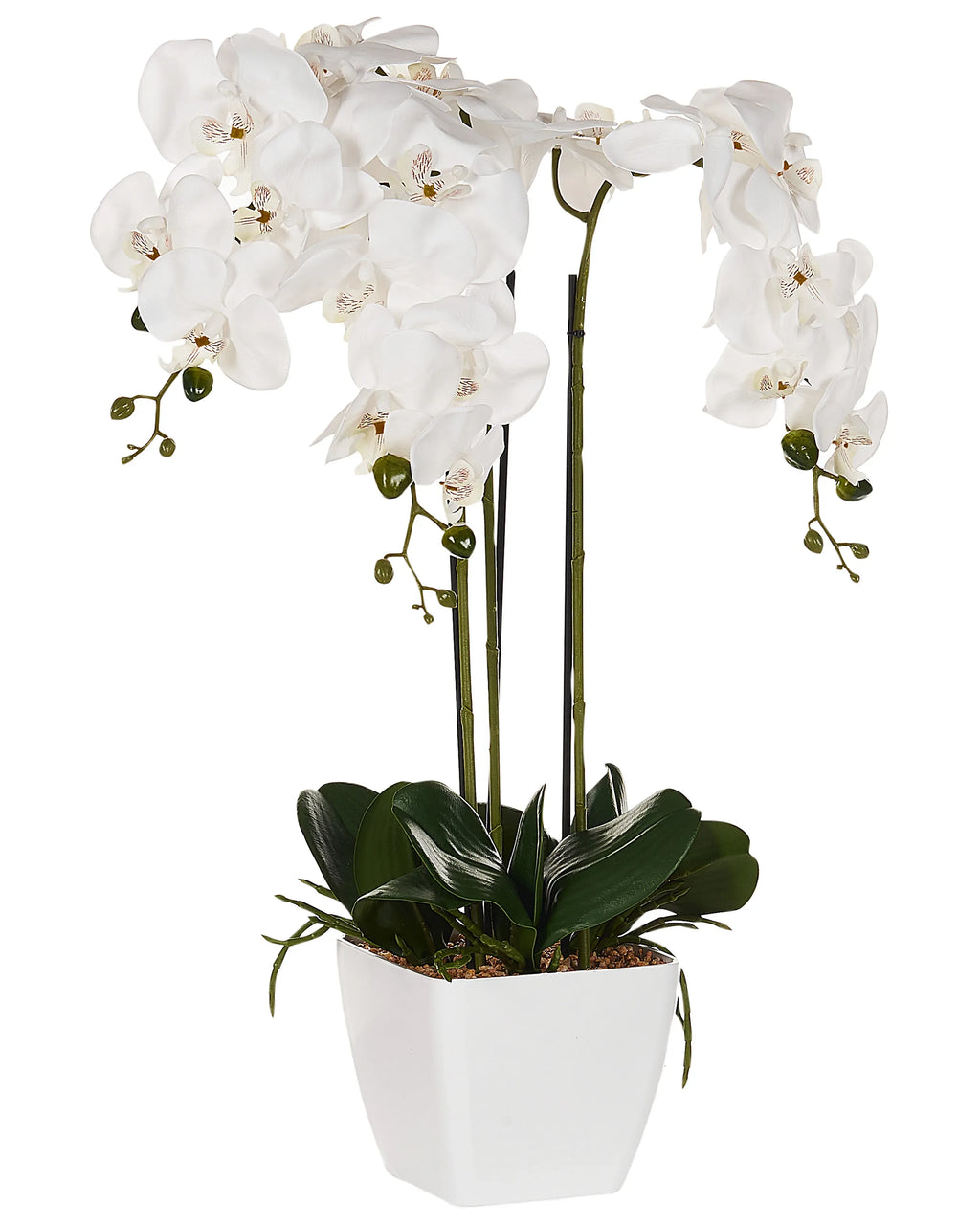 Plante artificielle ORCHIDÉE 59 cm Blanc