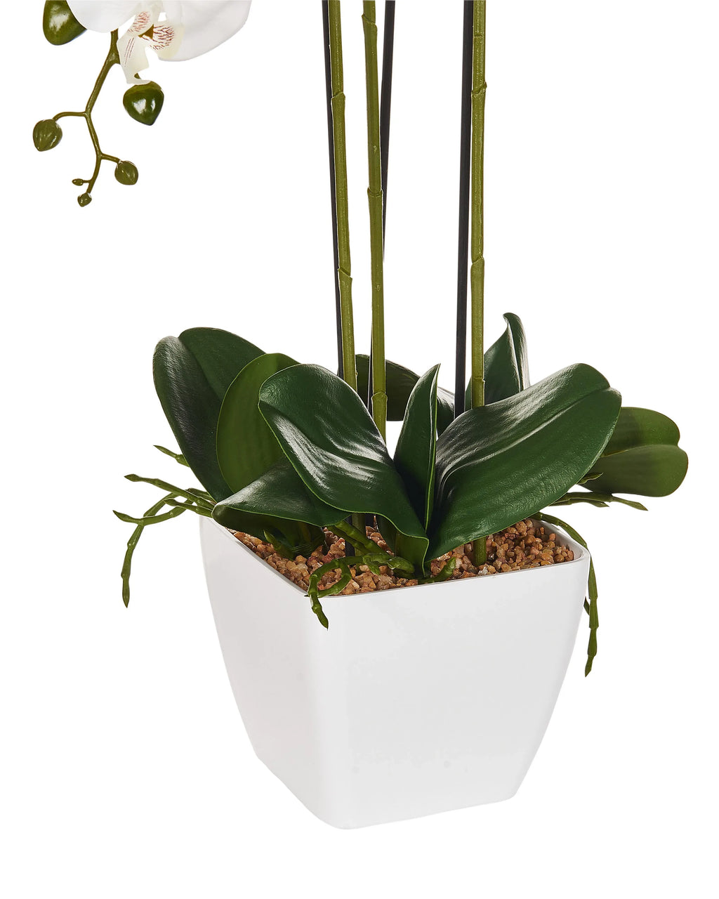 Plante artificielle ORCHIDÉE 59 cm Blanc