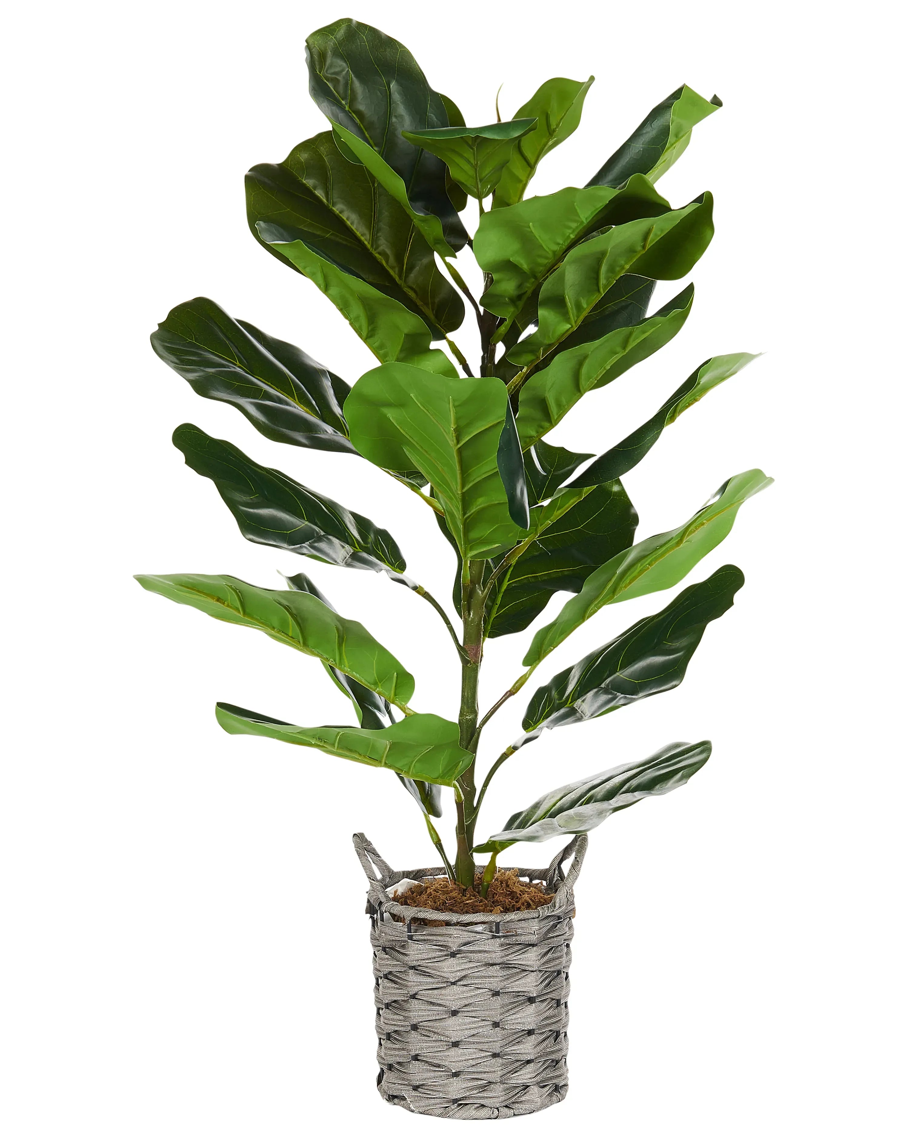 Pianta artificiale FIDDLE LEAF TREE 72 cm Verde