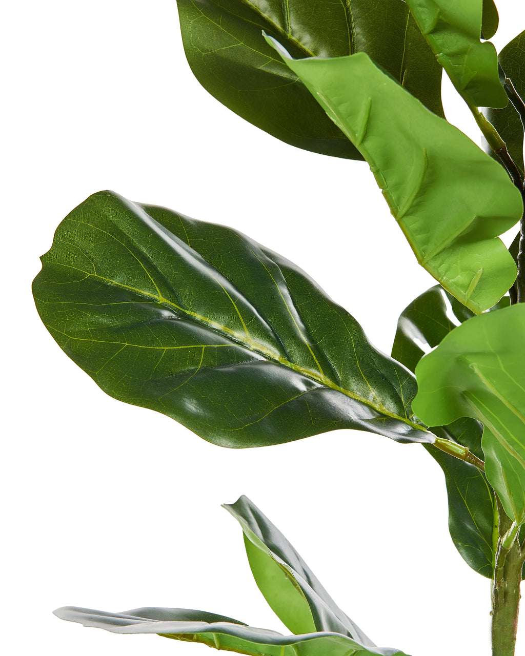 Plante artificielle ARBRE À FEUILLES DE VIOLON 72 cm Verte