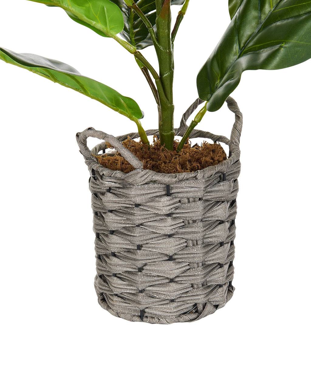 Plante artificielle ARBRE À FEUILLES DE VIOLON 72 cm Verte