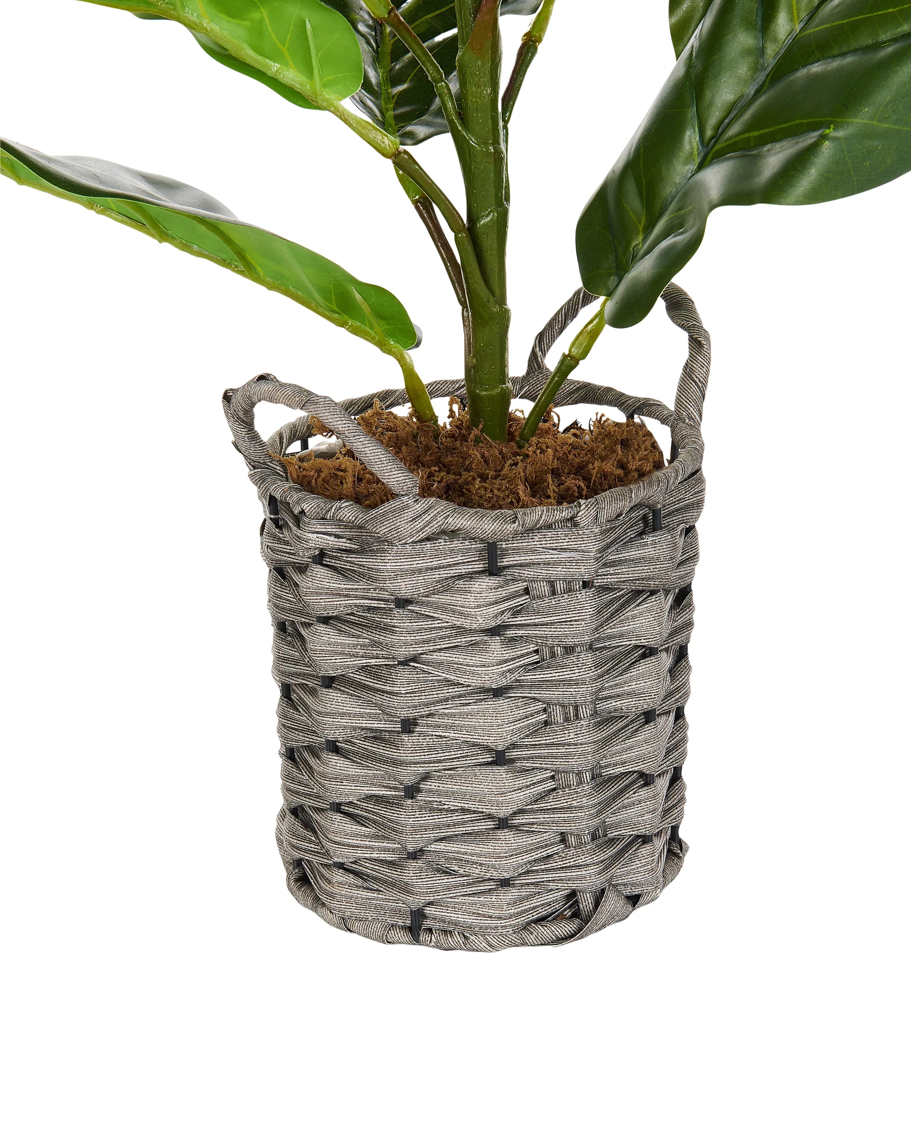 Plante artificielle ARBRE À FEUILLES DE VIOLON 72 cm Verte