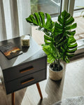 Plante artificielle MONSTERA 94 cm Verte