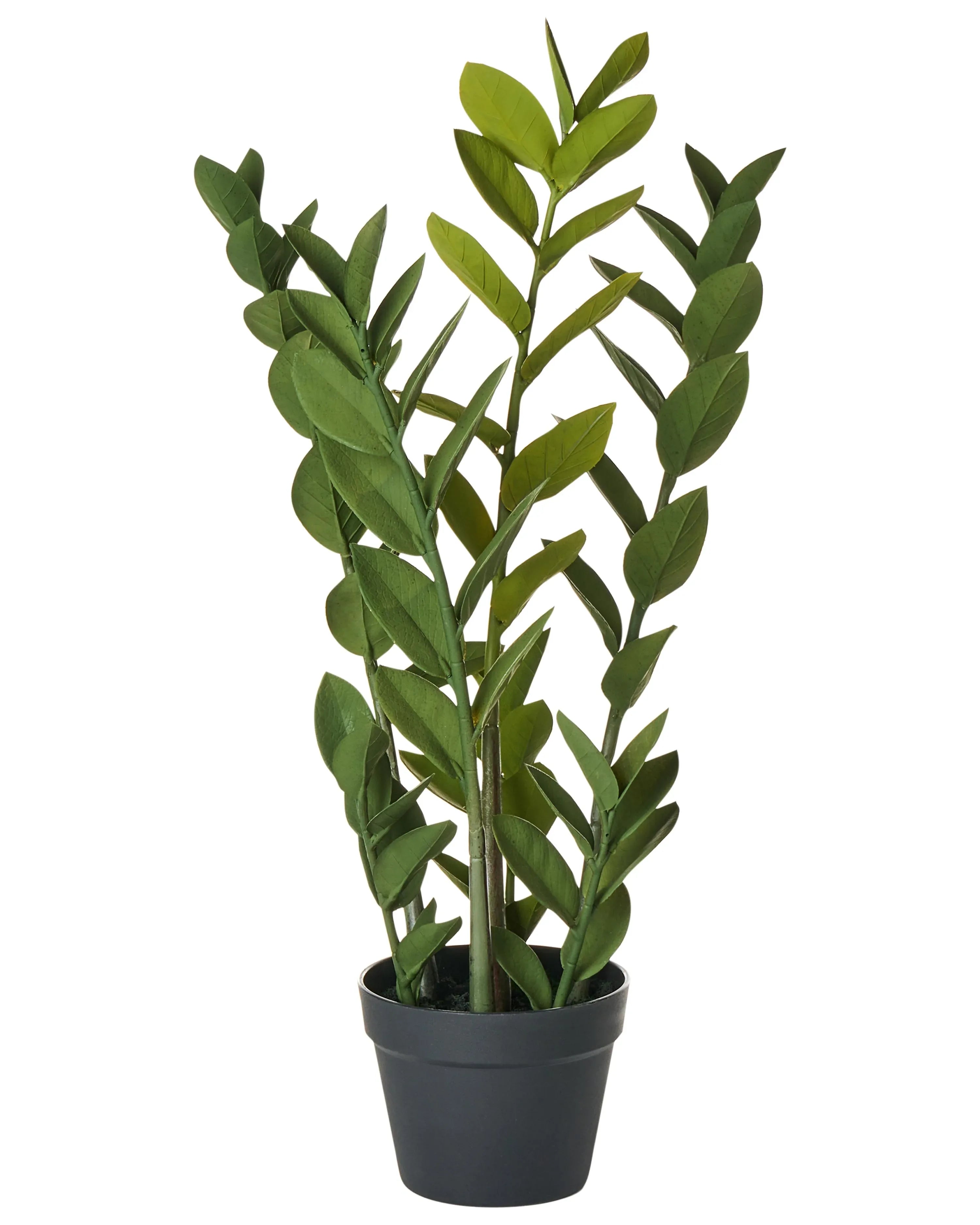 Pianta artificiale ZAMIIFOLIA 76 cm Verde