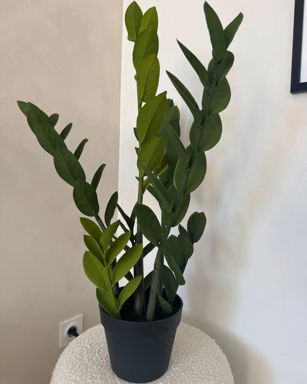 Plante artificielle ZAMIIFOLIA 76 cm Vert