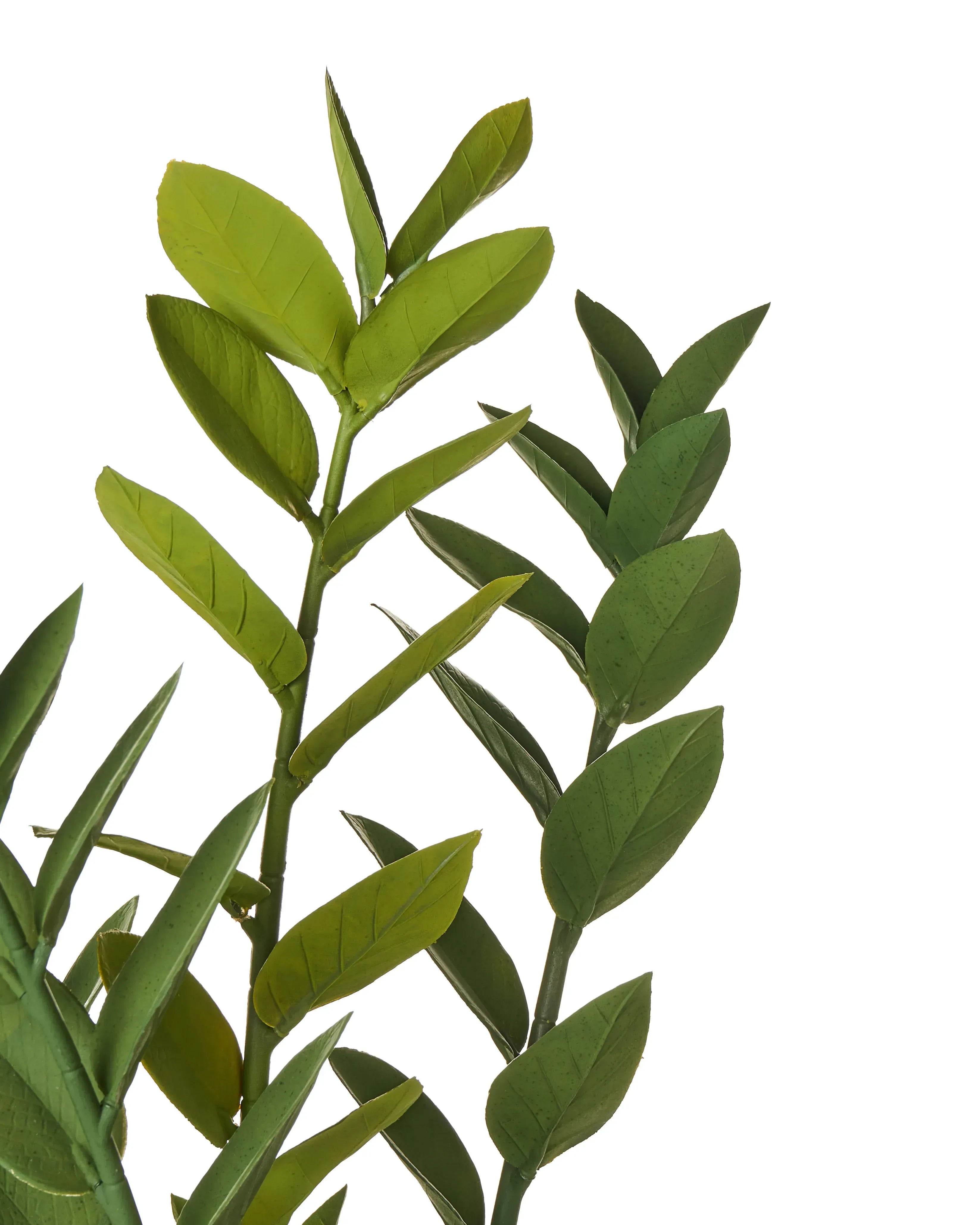 Plante artificielle ZAMIIFOLIA 76 cm Vert