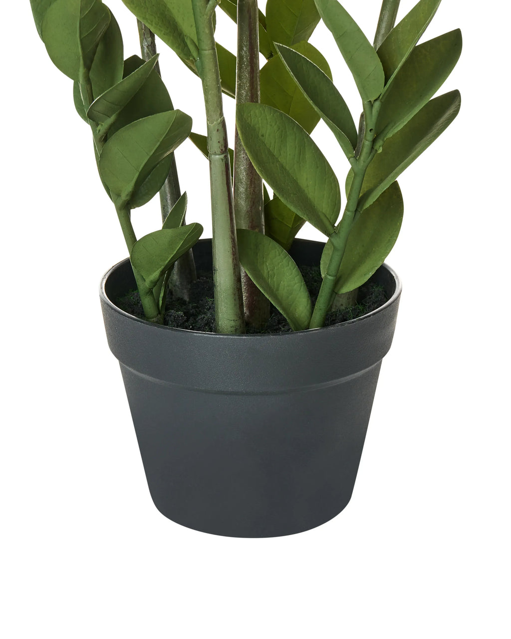 Plante artificielle ZAMIIFOLIA 76 cm Vert