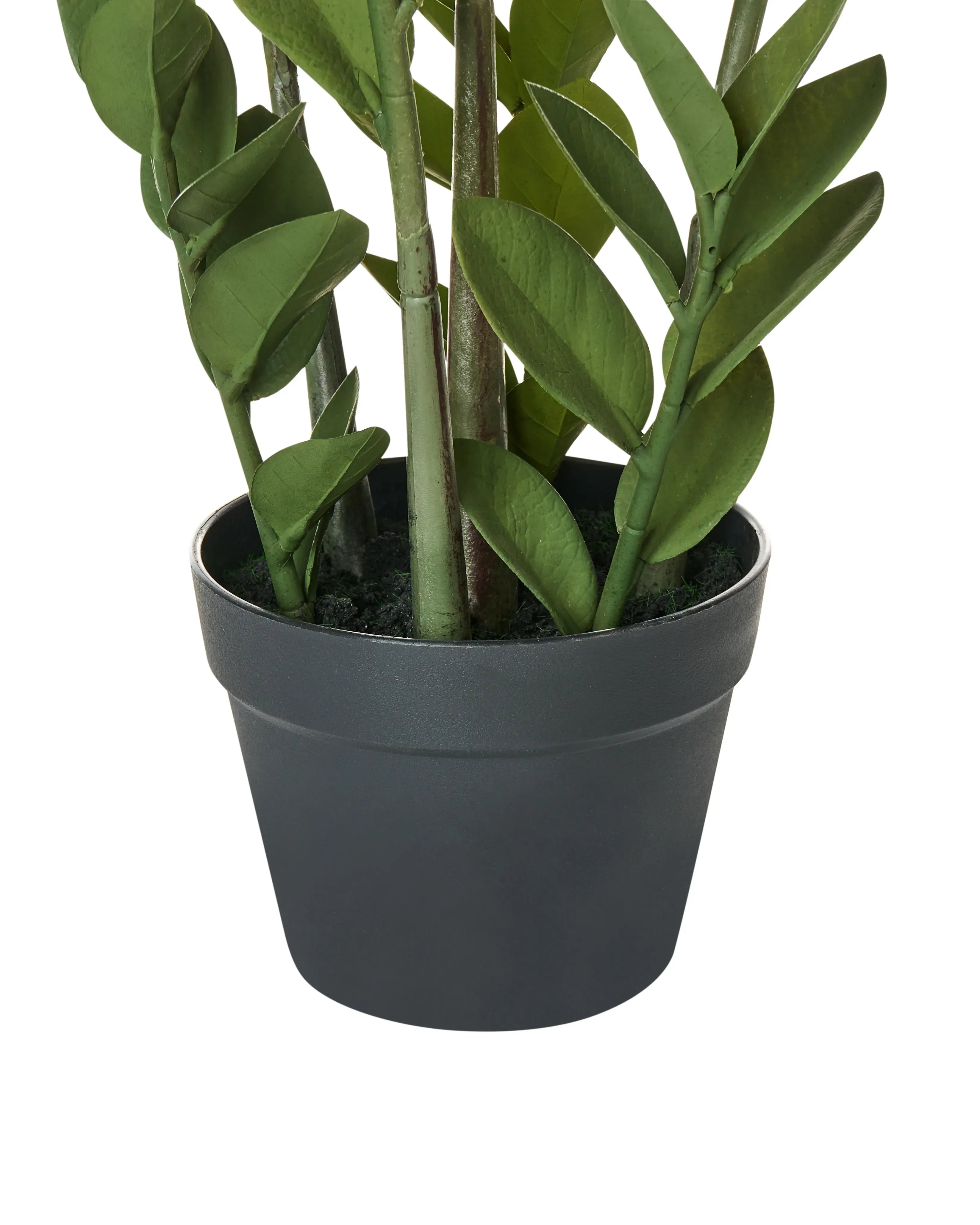 Plante artificielle ZAMIIFOLIA 76 cm Vert