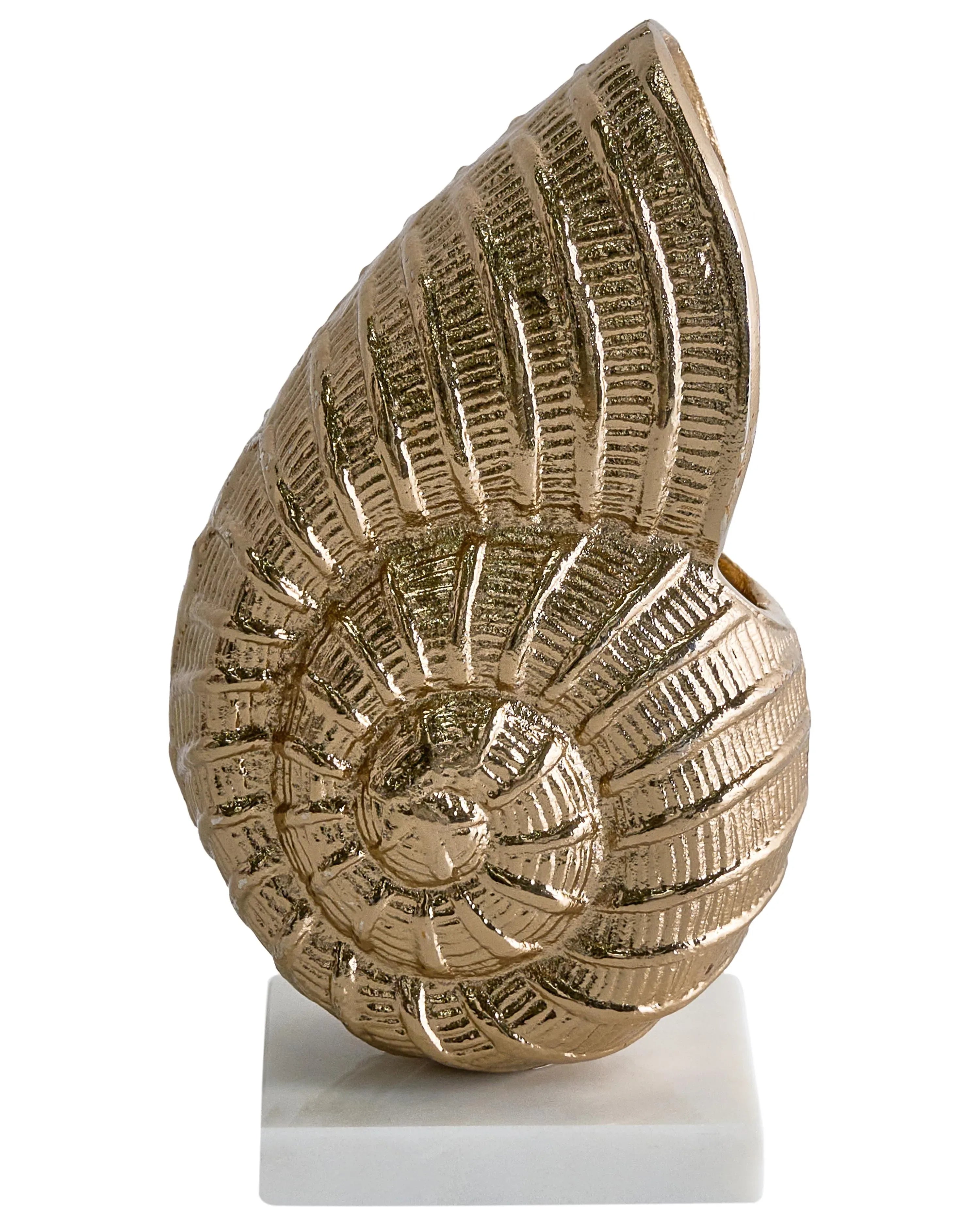 Accessorio decorativo Conchiglia TULJE Metallo Oro
