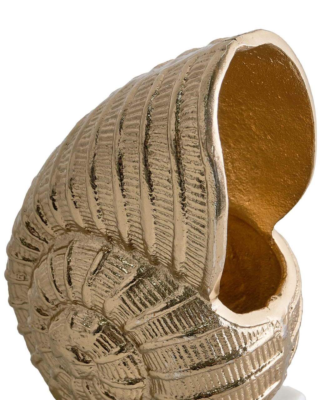 Accessoire décoratif Coquillage Métal Doré