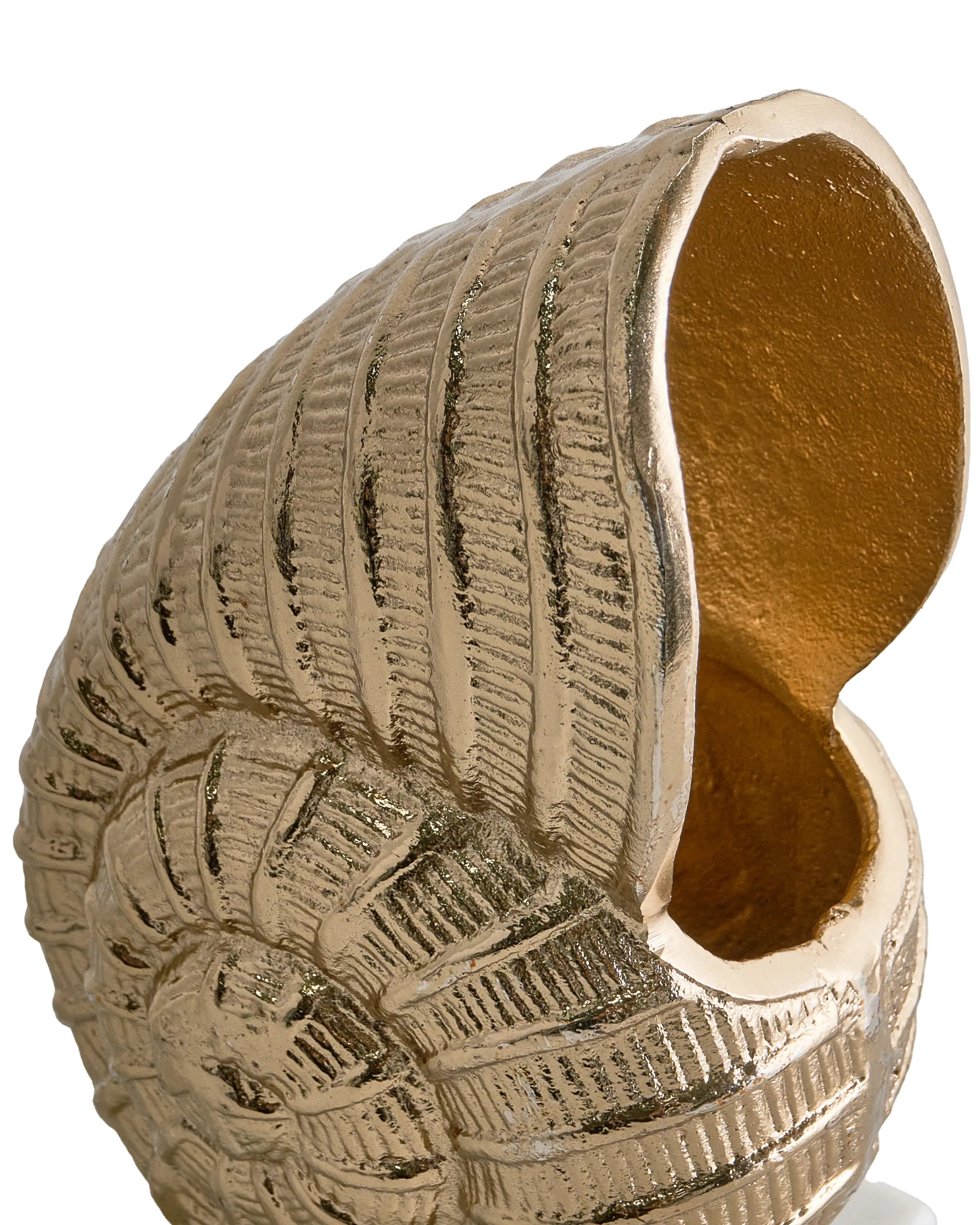 Accessoire décoratif Coquillage Métal Doré