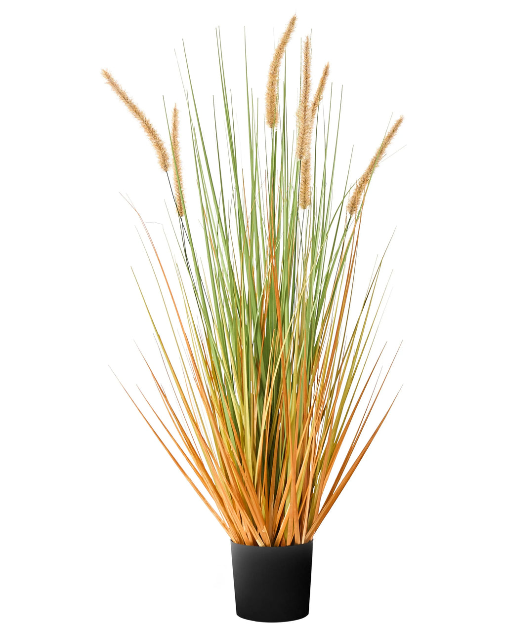 Pianta artificiale BRISTLEGRASS 90 cm Verde