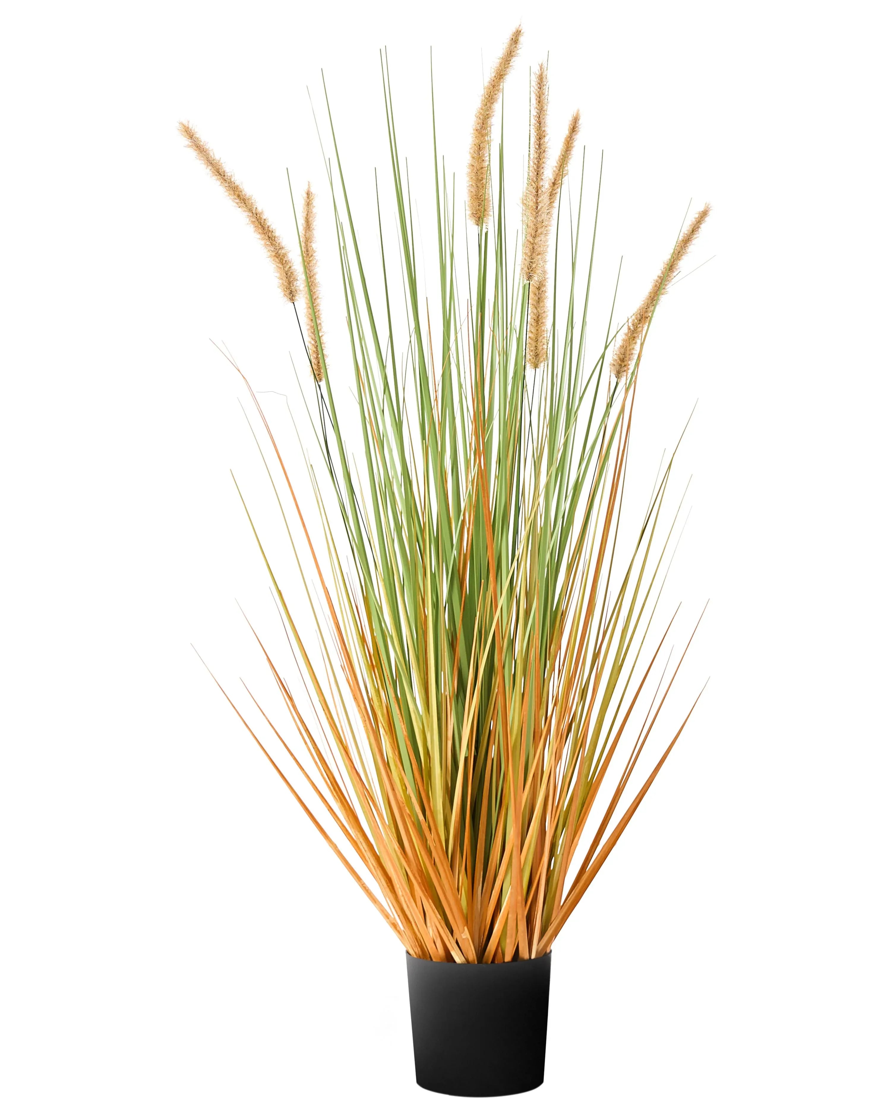 Pianta artificiale BRISTLEGRASS 90 cm Verde