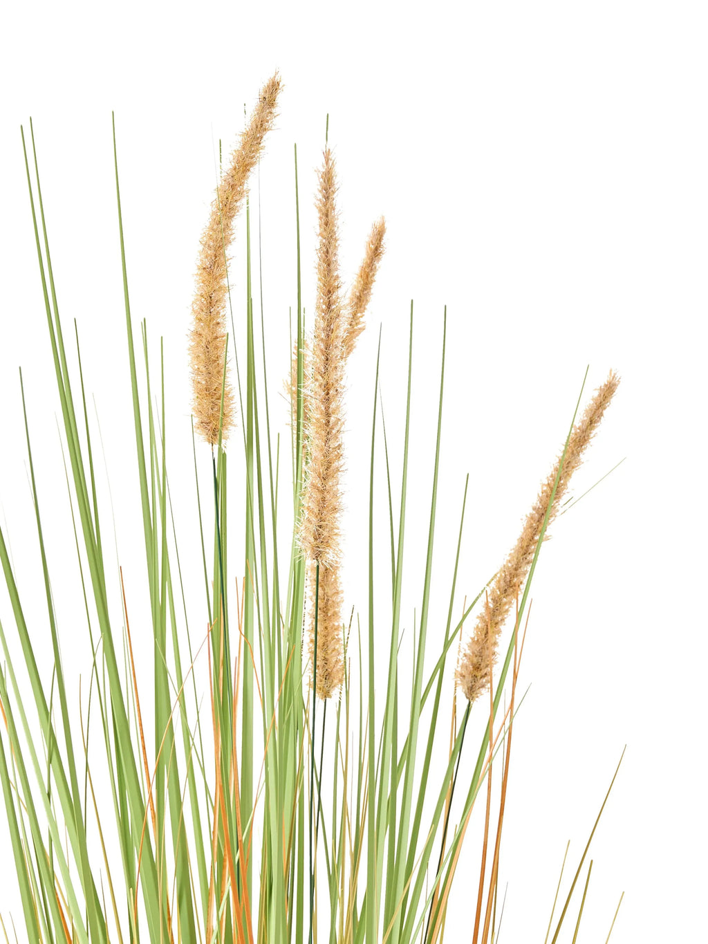 Plante artificielle BRISTLEGRASS 90 cm Verte
