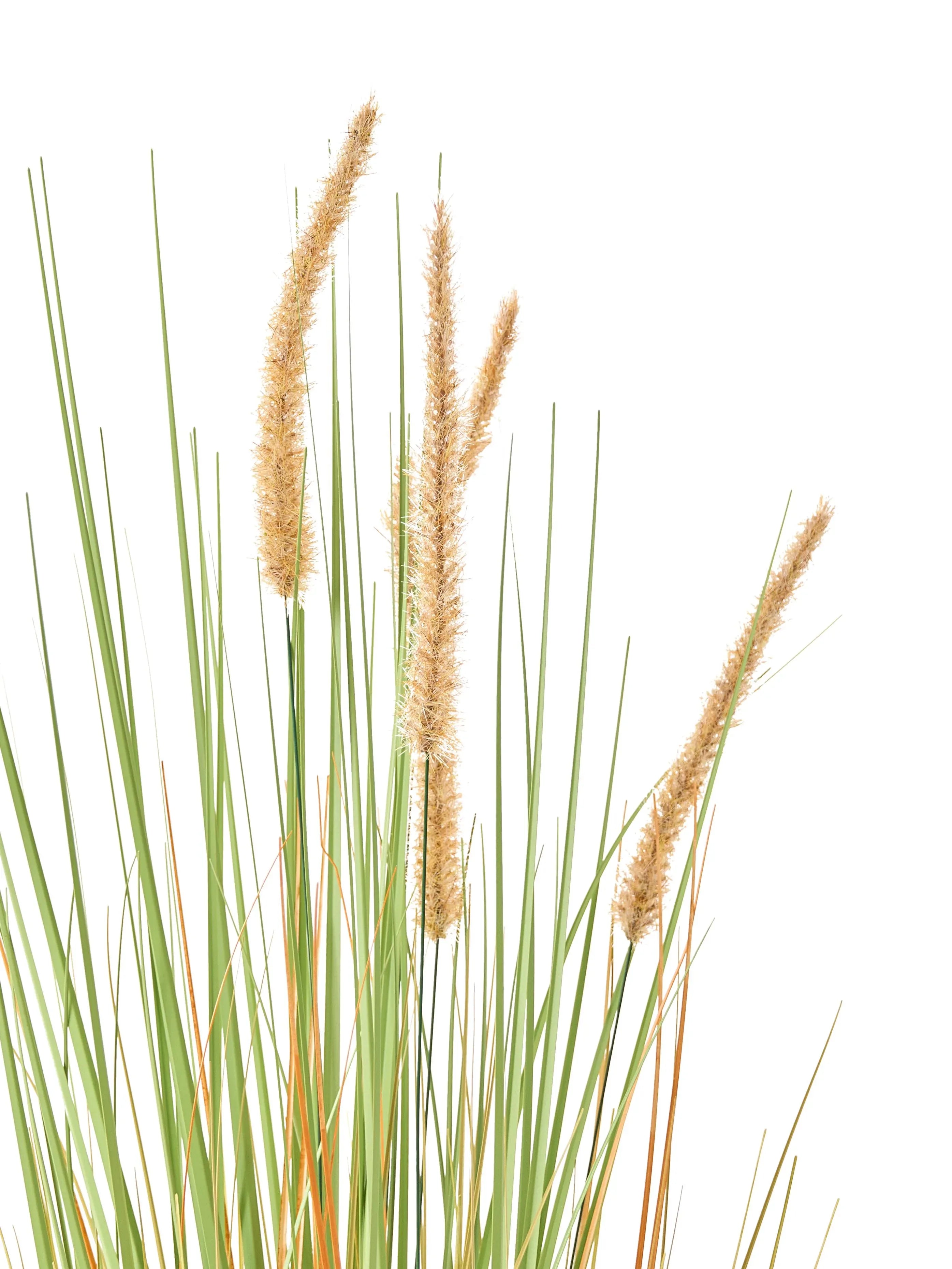 Plante artificielle BRISTLEGRASS 90 cm Verte