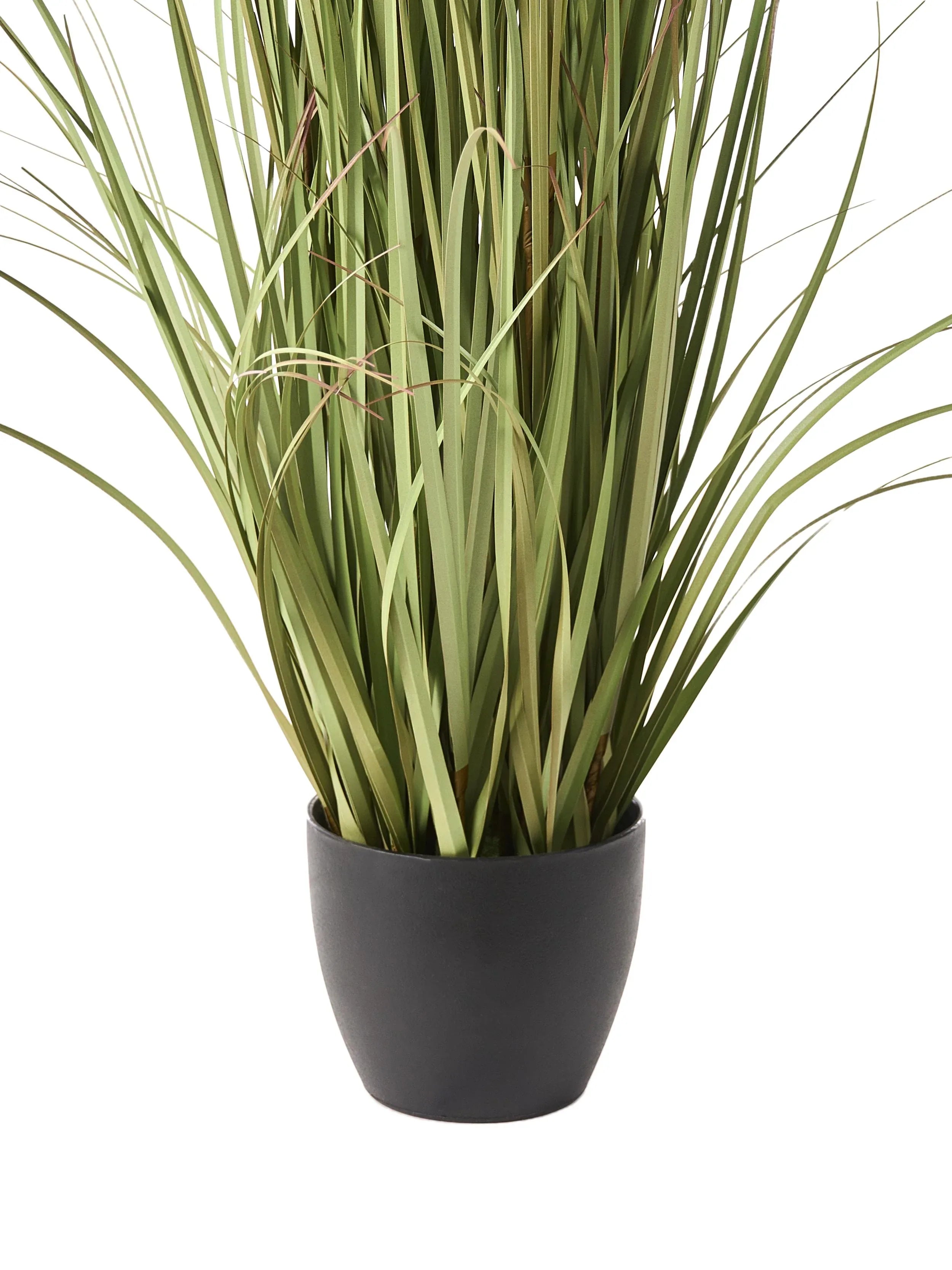 Plante artificielle HERBE POMPON 120 cm Verte