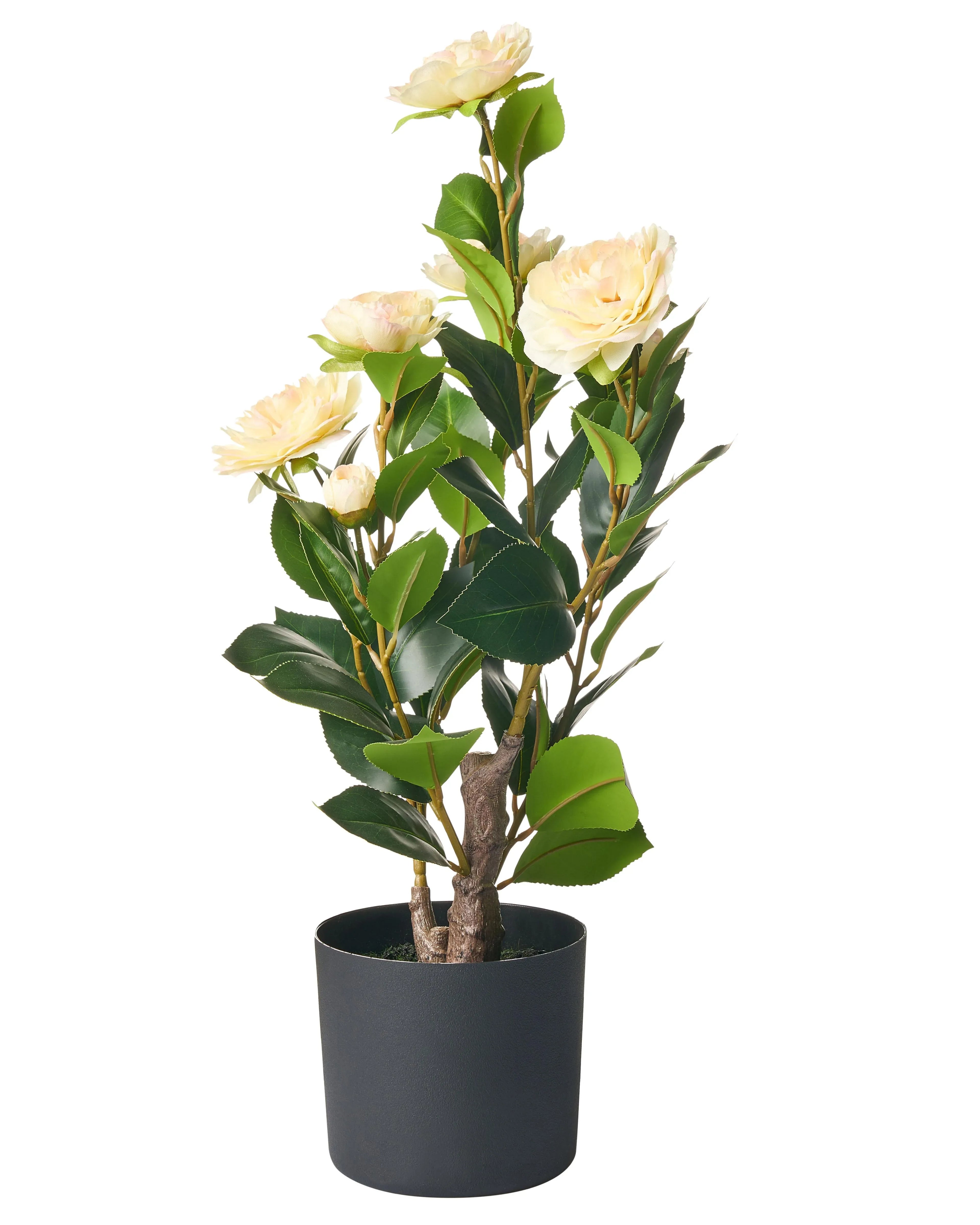 Pianta artificiale CAMELLIA 60 cm Verde