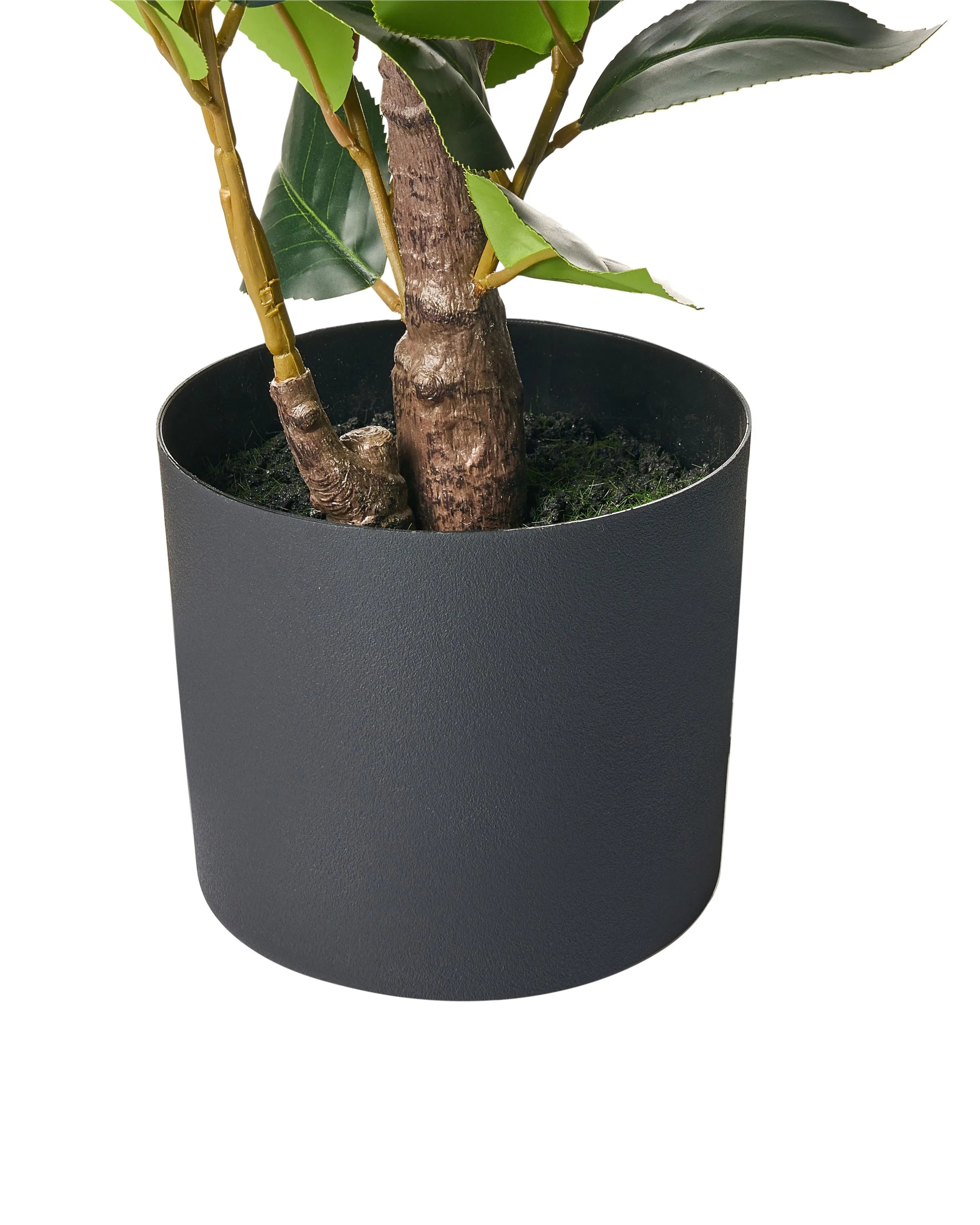 Plante artificielle CAMÉLIA 60 cm Vert