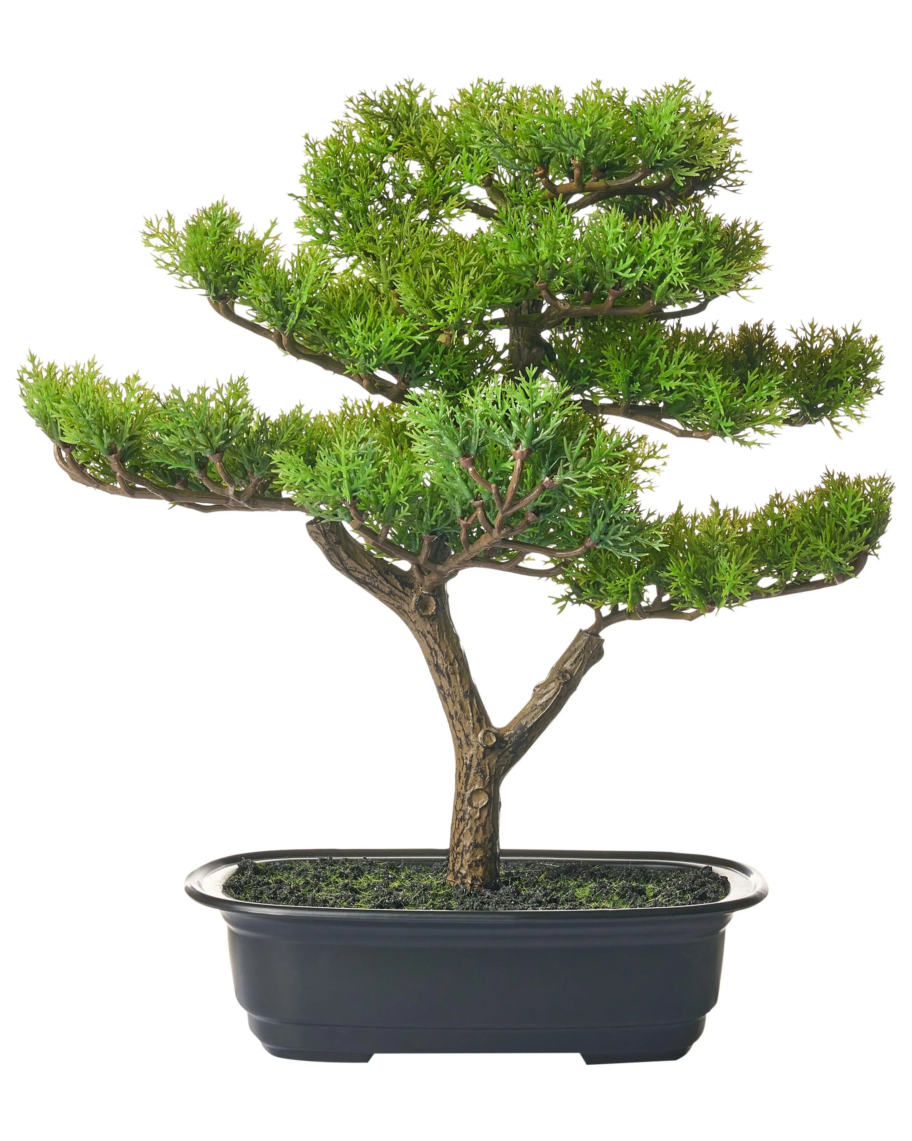 Pianta artificiale PINE 37 cm Verde